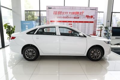 2022款 EV Pro 网约版 三元锂-外观-图片-有驾