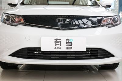 2022款 EV Pro 网约版 三元锂-外观-图片-有驾