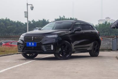 2020款 2.0T 旗舰型-外观-图片-有驾