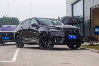 2020款 2.0T 旗舰型-外观-图片-有驾