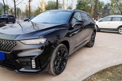 2020款 2.0T 旗舰型-外观-图片-有驾