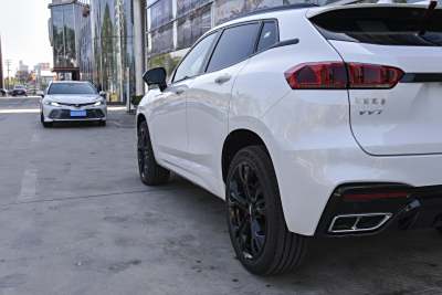 2020款 2.0T 旗舰型-外观-图片-有驾