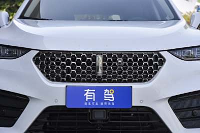 2020款 2.0T 旗舰型-外观-图片-有驾