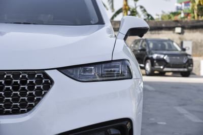 2020款 2.0T 旗舰型-外观-图片-有驾