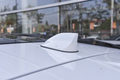 2020款 2.0T 旗舰型-外观-图片-有驾