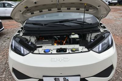 2026款 305km 活力版-外观-图片-有驾