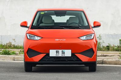 2026款 305km 活力版-外观-图片-有驾