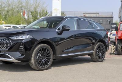 2022款 1.5T 0焦虑性能版-外观-图片-有驾