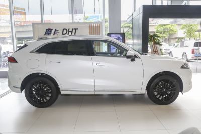 2022款 1.5T 0焦虑性能版-外观-图片-有驾