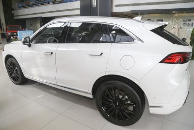 2022款 1.5T 0焦虑性能版-外观-图片-有驾