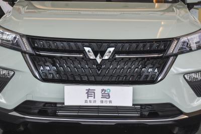 2021款 1.5T CVT星曜版-外观-图片-有驾