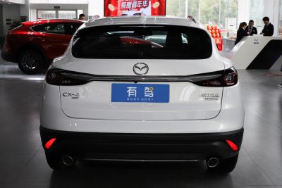 2021款 2.5L 自动四驱蓝天无畏版-外观-图片-有驾