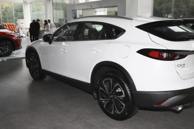 2021款 2.5L 自动四驱蓝天无畏版-外观-图片-有驾