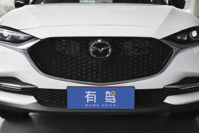 2021款 2.5L 自动四驱蓝天无畏版-外观-图片-有驾