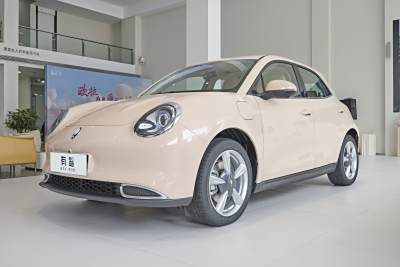 2023款 501km长续航 豪华型 磷酸铁锂-外观-图片-有驾 2023款 501km长续航 豪华型 磷酸铁锂-外观-图片-有驾