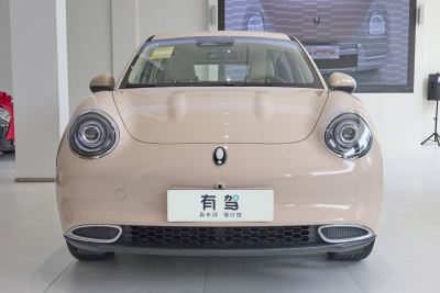 2023款 501km长续航 豪华型 磷酸铁锂-外观-图片-有驾 2023款 501km长续航 豪华型 磷酸铁锂-外观-图片-有驾