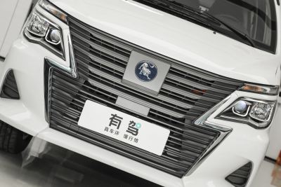 2024款 460km 客运版 标准型 9座-外观-图片-有驾