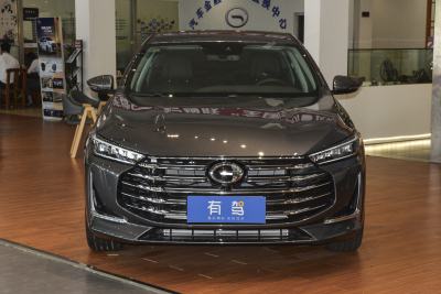 2020款 390T 尊贵版-外观-图片-有驾