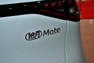 2025款 Mate 300km踏浪版-外观-图片-有驾