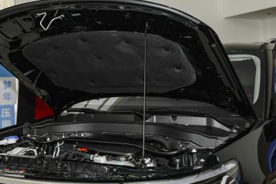 2025款 2.3T EcoBoost 四驱穿越版 5座-外观-图片-有驾