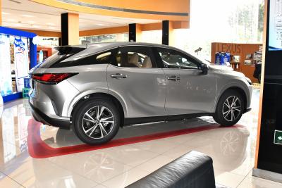 2025款 300 四驱骏享版-外观-图片-有驾