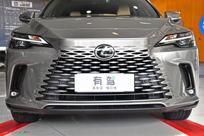 2025款 300 四驱骏享版-外观-图片-有驾