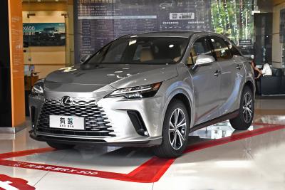 2025款 300 四驱骏享版-外观-图片-有驾