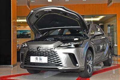 2025款 300 四驱骏享版-外观-图片-有驾