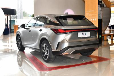 2025款 300 四驱骏享版-外观-图片-有驾