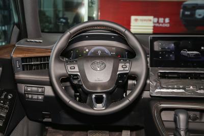 2024款 双擎 2.0L 臻选版-内饰-图片-有驾