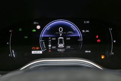 2024款 双擎 2.0L 臻选版-内饰-图片-有驾