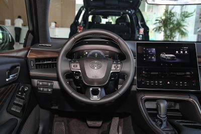 2024款 双擎 2.0L 臻选版-内饰-图片-有驾