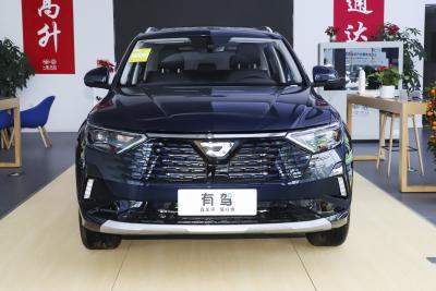 2024款 280TSI 自动旗舰版-外观-图片-有驾