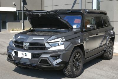 2024款 M800 高顶版-外观-图片-有驾