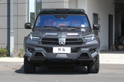 2024款 M800 高顶版-外观-图片-有驾
