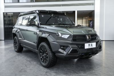 2024款 M800 高顶版-外观-图片-有驾