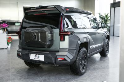 2024款 M800 高顶版-外观-图片-有驾