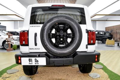 2025款 2.0T 汽油挑战者-外观-图片-有驾