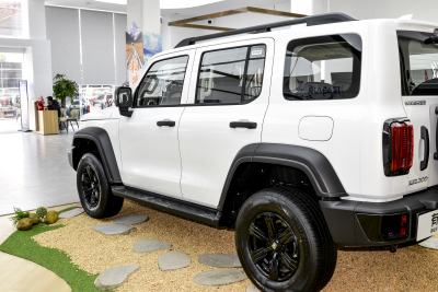 2025款 2.0T 汽油挑战者-外观-图片-有驾