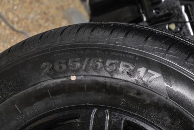 2025款 2.0T 汽油挑战者-外观-图片-有驾