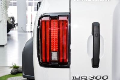 2025款 2.0T 汽油挑战者-外观-图片-有驾