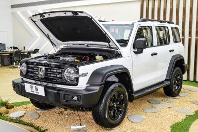 2025款 2.0T 汽油挑战者-外观-图片-有驾