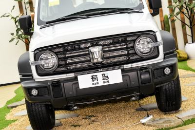 2025款 2.0T 汽油挑战者-外观-图片-有驾