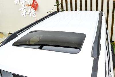 2025款 2.0T 汽油挑战者-外观-图片-有驾