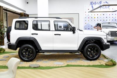 2025款 2.0T 汽油挑战者-外观-图片-有驾