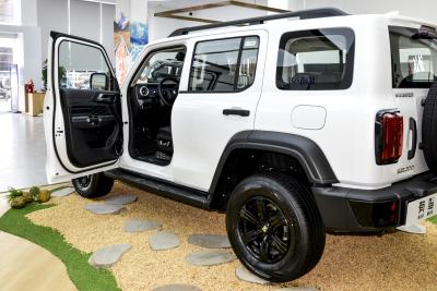 2025款 2.0T 汽油挑战者-外观-图片-有驾