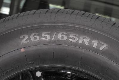 2025款 2.0T 汽油挑战者-外观-图片-有驾