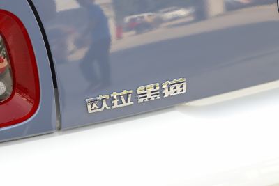 2022款 301km 萌宠版 磷酸铁锂-外观-图片-有驾