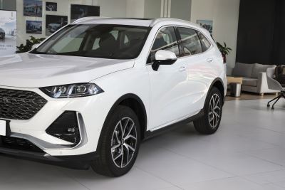 2022款 1.5T 两驱超大杯-外观-图片-有驾