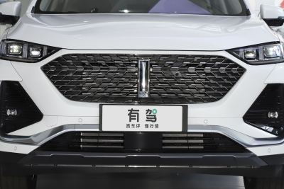 2022款 1.5T 两驱超大杯-外观-图片-有驾